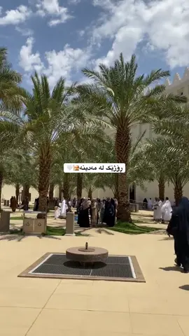 ئەی خوای گەورە، لە ناو مەدینەی پیرۆزدا دڵەکان ئارام دەبن....✨🥰 #fyp #مەدینە #مەدینەی_پیرۆز_ماڵی_پیغەمبەر_ #explore #عەمرە 