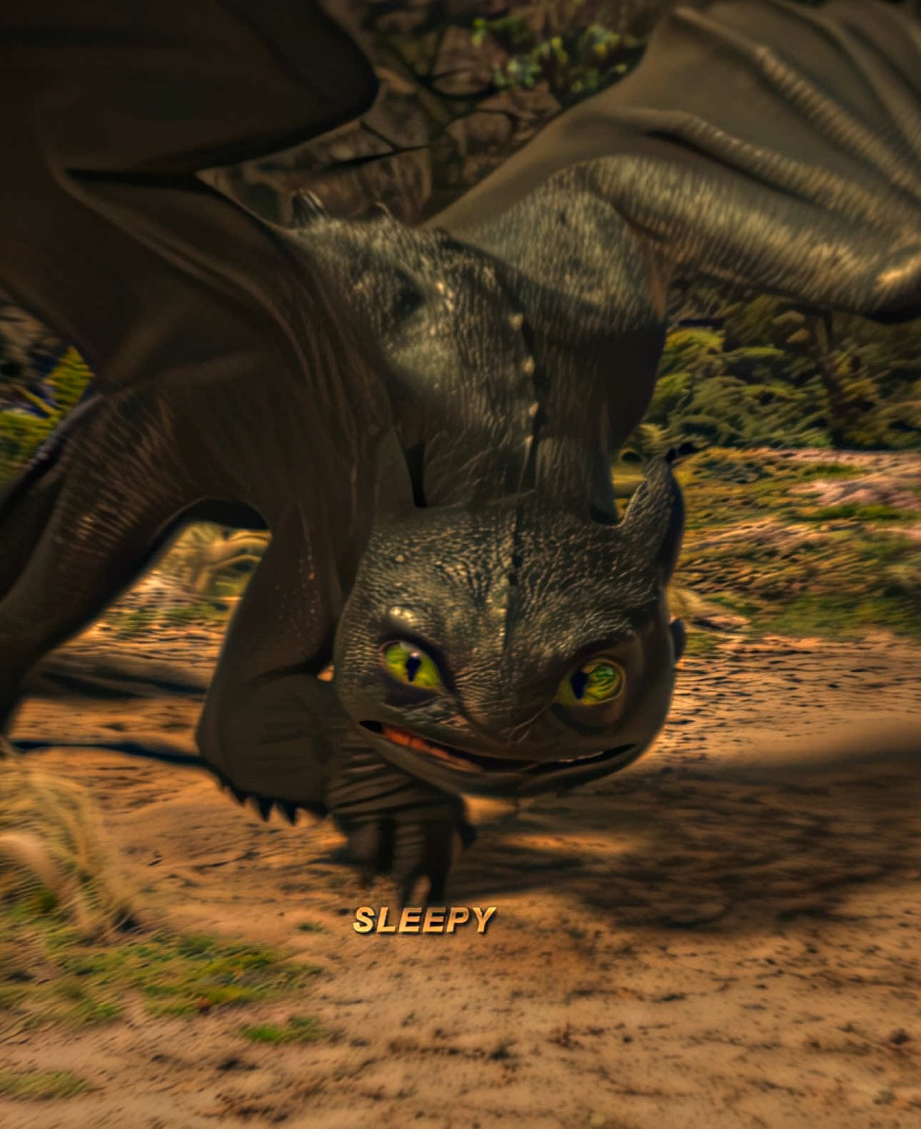 Toothless in life action || IB: @yung httyd || #hiccup #toothless #httyd #edit #fyp 