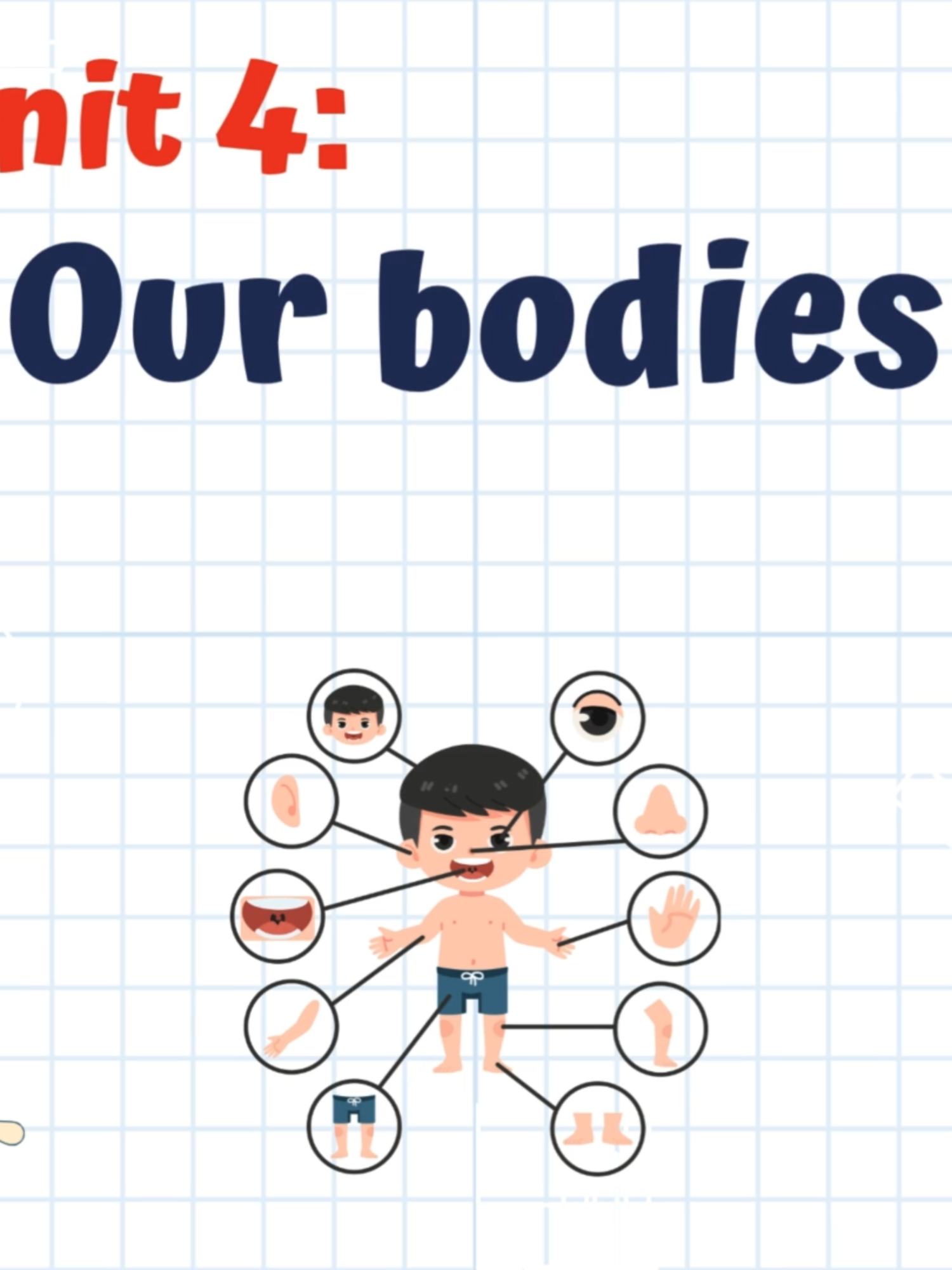 G3 Unit 4 Lesson 2( 1,2,3) P30 #tienganh #AI #cogiaotienganh