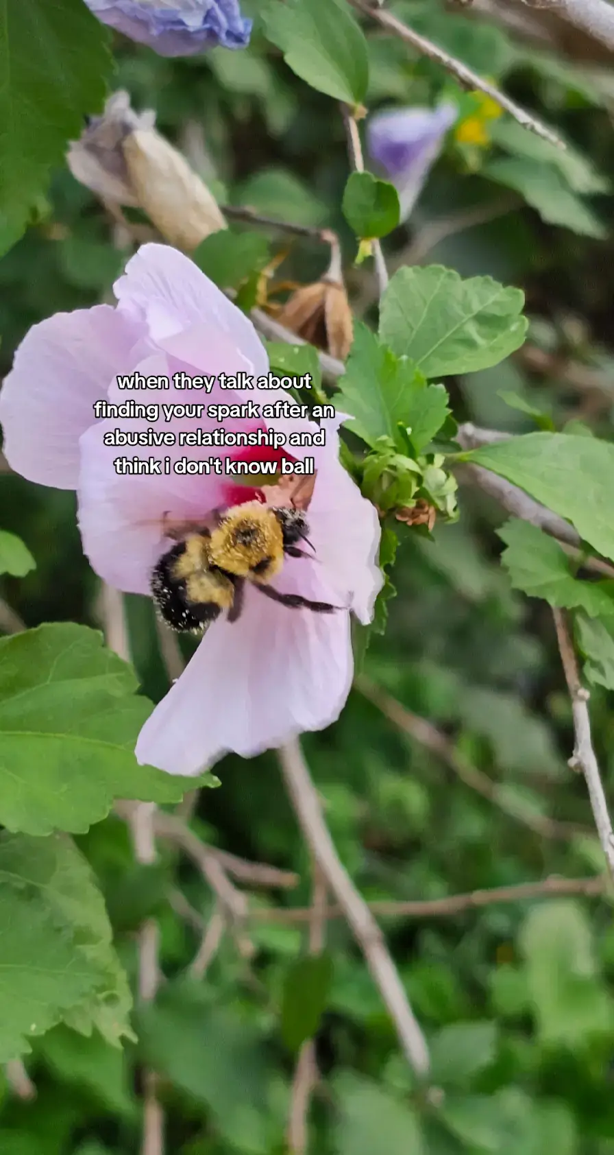 #fyp #viral #trending 