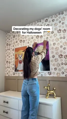 Luckily I didn’t go all out this year🤭 #doghalloween #chihuahua #dogmom #dogroom #dogportraits 