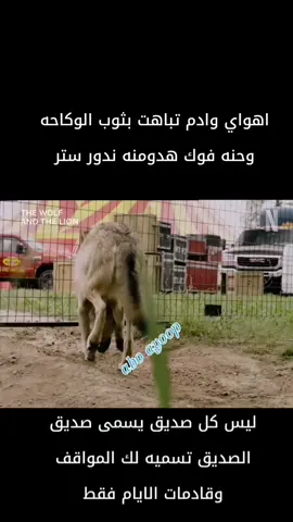 #حساباتك بربعك من تعدها #رعدالناصري #axplore 