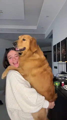 بطاطا فعلا ❤️❤️#دوبي_دبدوبي #مراد_ودوبي #talkingdog #doglover #dobbylovers 