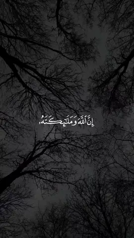 ان الله وملائكتهُ يصلون على النبي #سعود_الفايز #سورة_الاحزاب #quran_alkarim #القران_الكريم #قران 