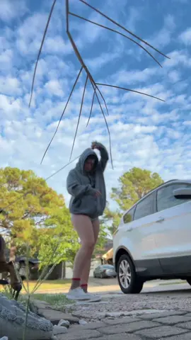 We love the dog park and hiking 