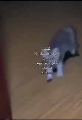 #capcut #explore #like #شوق #الشعب_الصيني_ماله_حل😂😂 