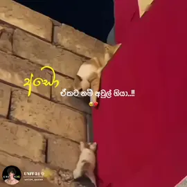 🥺😫#goviral #tik_tok 