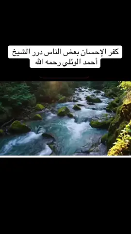 #عميد_المنبر_احمد_الوائلي #الشيخ_احمد_الوائلي_رحمه_الله #اكسبلور #اكسبلورexplore #رحمتك_وسعت_كل_شي_واحنا_لاشى_ياالله 