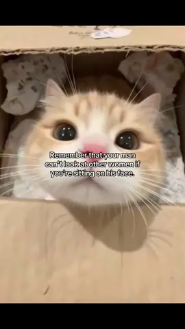 relatable? #fyp #cattok #rizz #joke #Love 