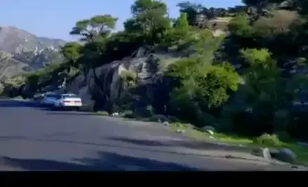 #اليمن #ايوب والحزن والحسره #تسجيل #الرياض_جده_مكه_الدمام_المدينه 