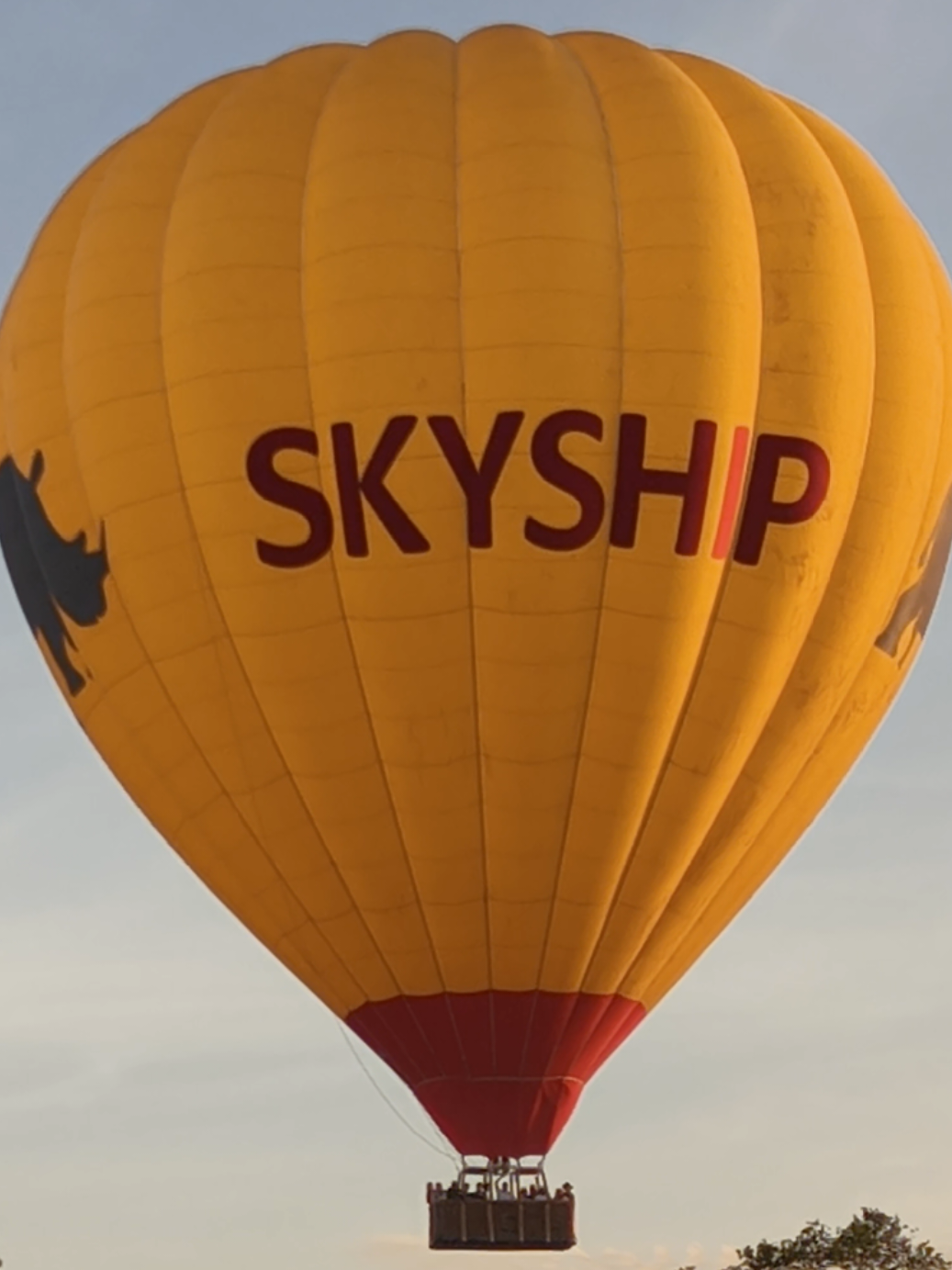 #foryoupage❤️❤️ #tembeakenya🇰🇪 #creatorsearchinsights #maasaimara ##WhatToWatch 