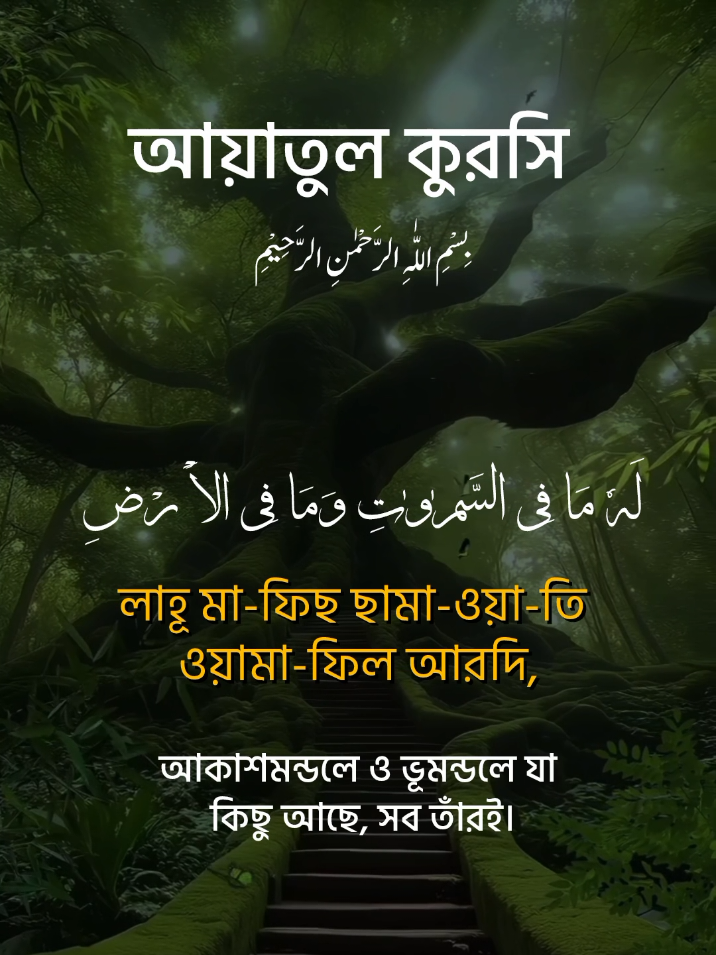 আয়াতুল কুরসি। #আয়াতুল_কুরসি #কোরআন_তেলোয়াত #foryou #ayatulkursi 