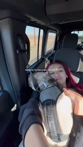 He was so scared 😫  #dogmom #neutered #frenchiemom #dogsoftiktok 