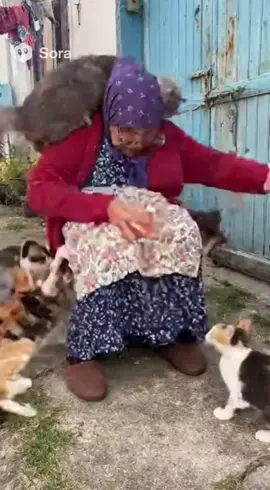 švedski stol #smesno #balkan #srbija #hrvatska #bosna 