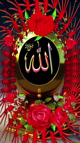 #shahin #SHEINeidfun #LynkCoCup 