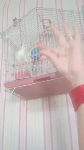 eyes trend 👀#foryou #foryou #foryou #foryou #foryou 