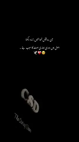 اصل میں وہ ہی ہماری موت کا سبب بنے ❤️‍🩹🥺:#repost #hmxii_ #sound #poetry #trendiing 