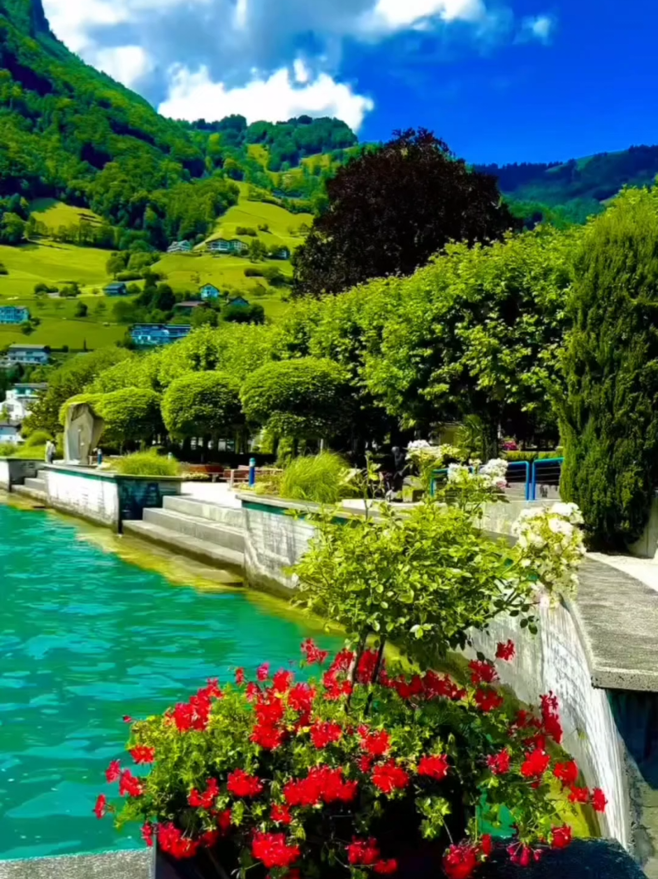 #forupage #videoviral #foryou #tik_tok #pyf 