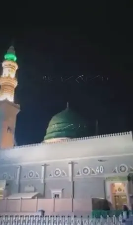 #مساحكم_معطر_بذكر_الله💚🌹🌿🌷😍🌸🙏 #اكثروا_من_الصلاة_على_نبينا_محمد #اللهم_صلي_على_نبينا_محمد #اكسبلو #ppppppppppppppppppppppp 