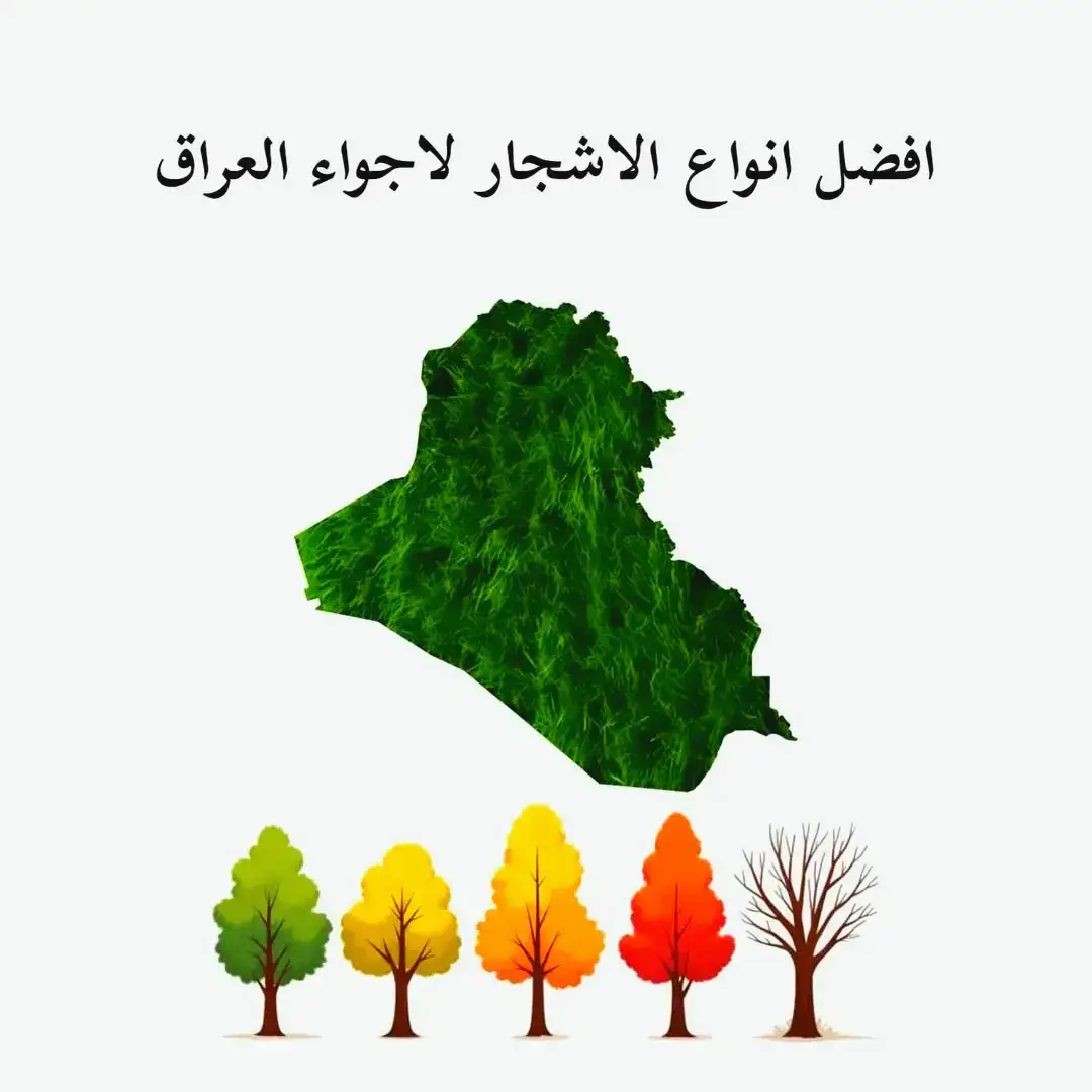 الجزء الثاني2 الأشجار التي تنجح زراعتها في العراق 🌳🇮🇶 #العراق 