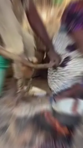 Sound owner @★ ᒍᑌᑎIOᖇ ᖴᒪIᑎT 🦦😌🛍️ ★ @••🧃𝐆𝐔𝐂𝐂𝐈_𝐒𝐌𝐈𝐓𝐇 🦅••  @nana_kwaku13 #fyp #johnny 