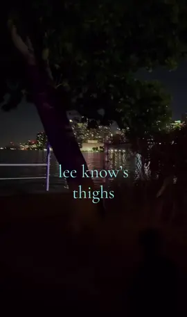 sobs #leeknow #straykidsworlddomination #straykidscomeback #viral #fyp 