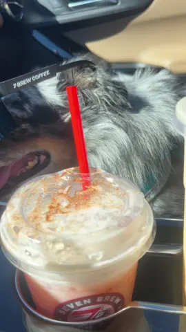 they got pup cups as a treat for being good girls dealing with moms crazy ideas😂 @7brewcoffee 