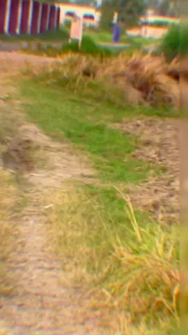 Tag your love ❤️😍 #saifemalik5 