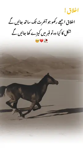 #unfreezmyaccouuntplzz🙏😥🥹 #fypforyoupage #urdupoetry💝💗 #fyptiktok #pleasesupportme🚩 