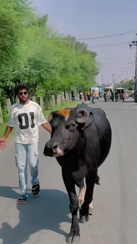 Ma tum se phyar karta tha🙂💔🤣 #چوہدری👑 follow me plz❤️#hellotiktok #faniy_videoo #foryoupagee #tipシo 