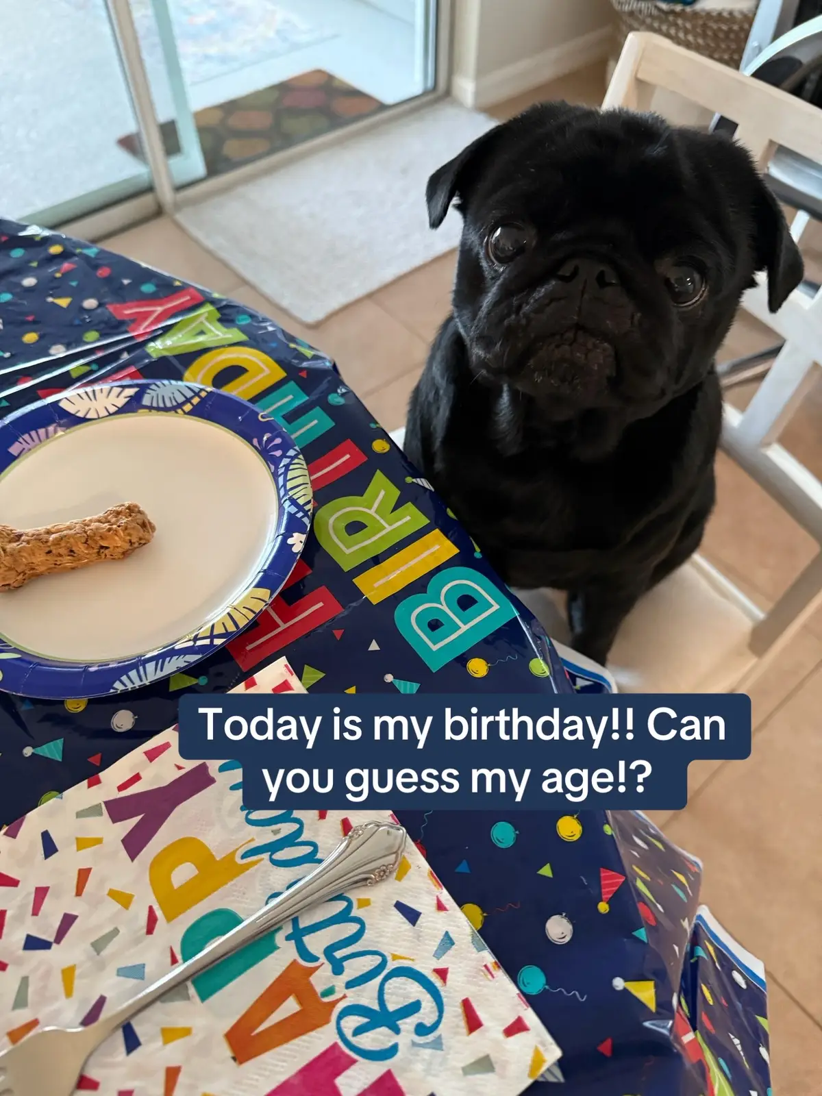 Happy birthday to meeee! 🐾  #birthdayboy #sirhenrythepug #blackpug #dogsbirthdayparty 
