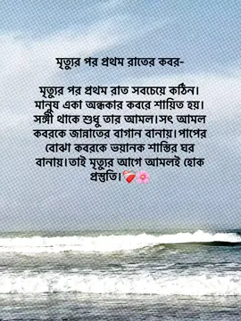 মৃত্যুর পর প্রথম রাতের কবর মৃত্যুর পর প্রথম রাত সবচেয়ে কঠিন। মানুষ একা অন্ধকার কবরে শায়িত হয়। সঙ্গী থাকে শুধু তার আমল। সৎ আমল কবরকে জান্নাতের বাগান বানায়। পাপের বোঝা কবরকে ভয়ানক শাস্তির ঘর বানায়। তাই মৃত্যুর আগে আমলই হোক প্রস্তুতি।❤️‍🩹🌸 #foryoupage #foryou #fypage #goviral #trending @TikTok Bangladesh 