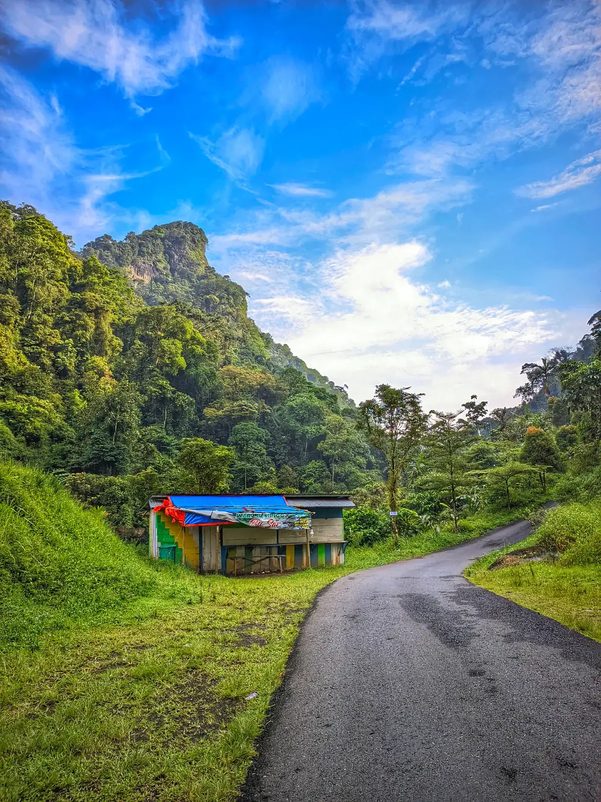 🌿🌿🌿#siregolsuperland #amazone #karangmoncol #siregolpurbalingga 