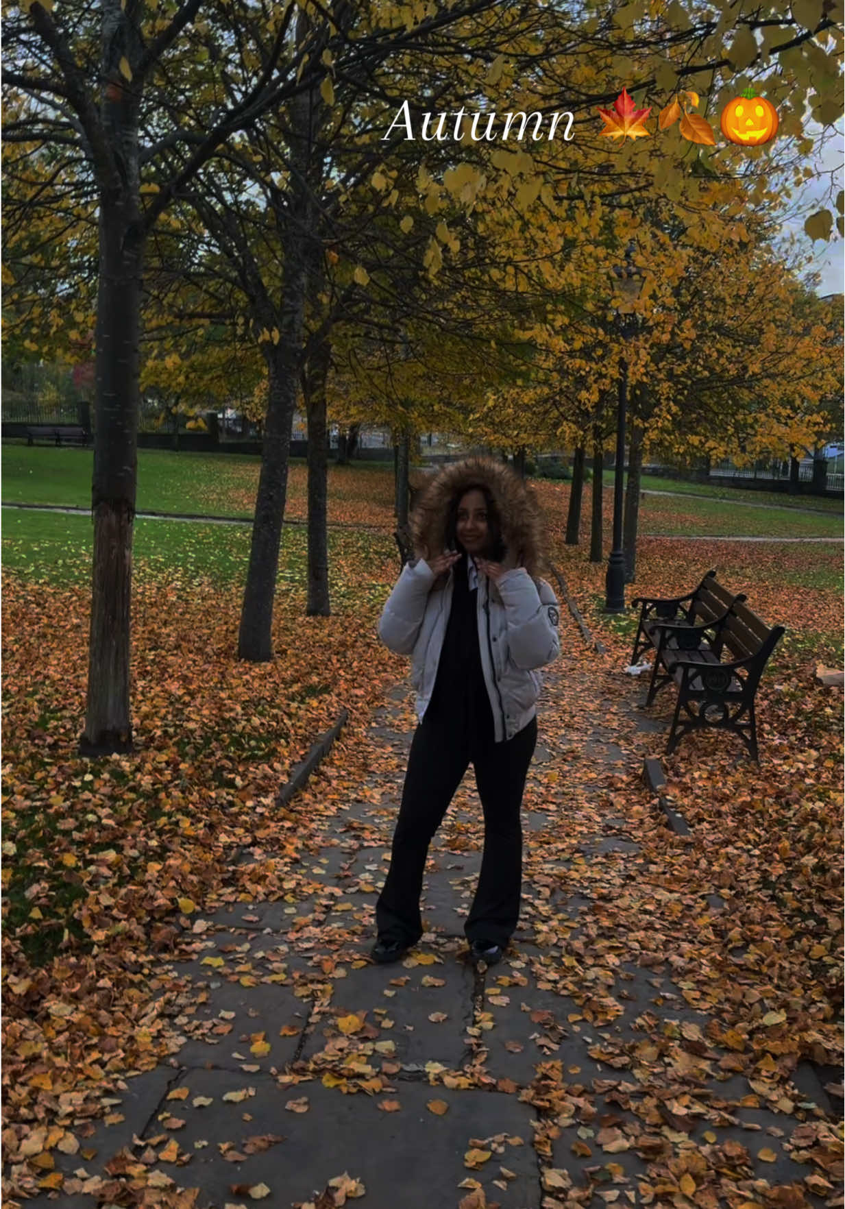 Fall 2025 || #fyp #autumn #autumnaesthetic #fall 