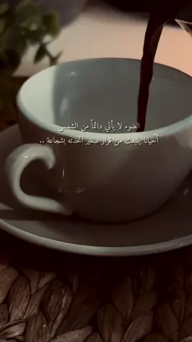 #اكسبلور #explore 🤍🕊️