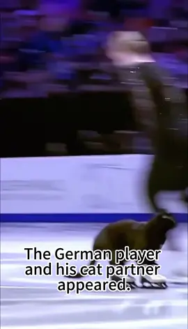 Humen and cat figure skating too beautiful #sora #olympics #figure skayting #beauty #cat