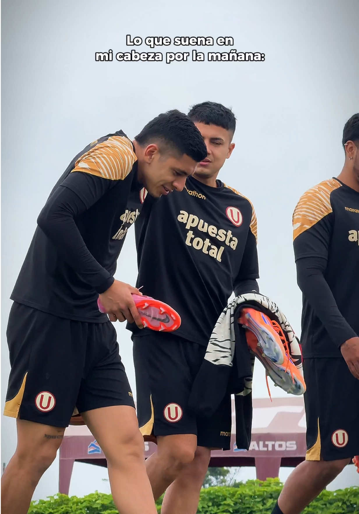 Buenos días cremas 👋💛 #LaGarraDelÚnicoGrande #SportsOnTikTok #Futbol #Universitario #Peru 
