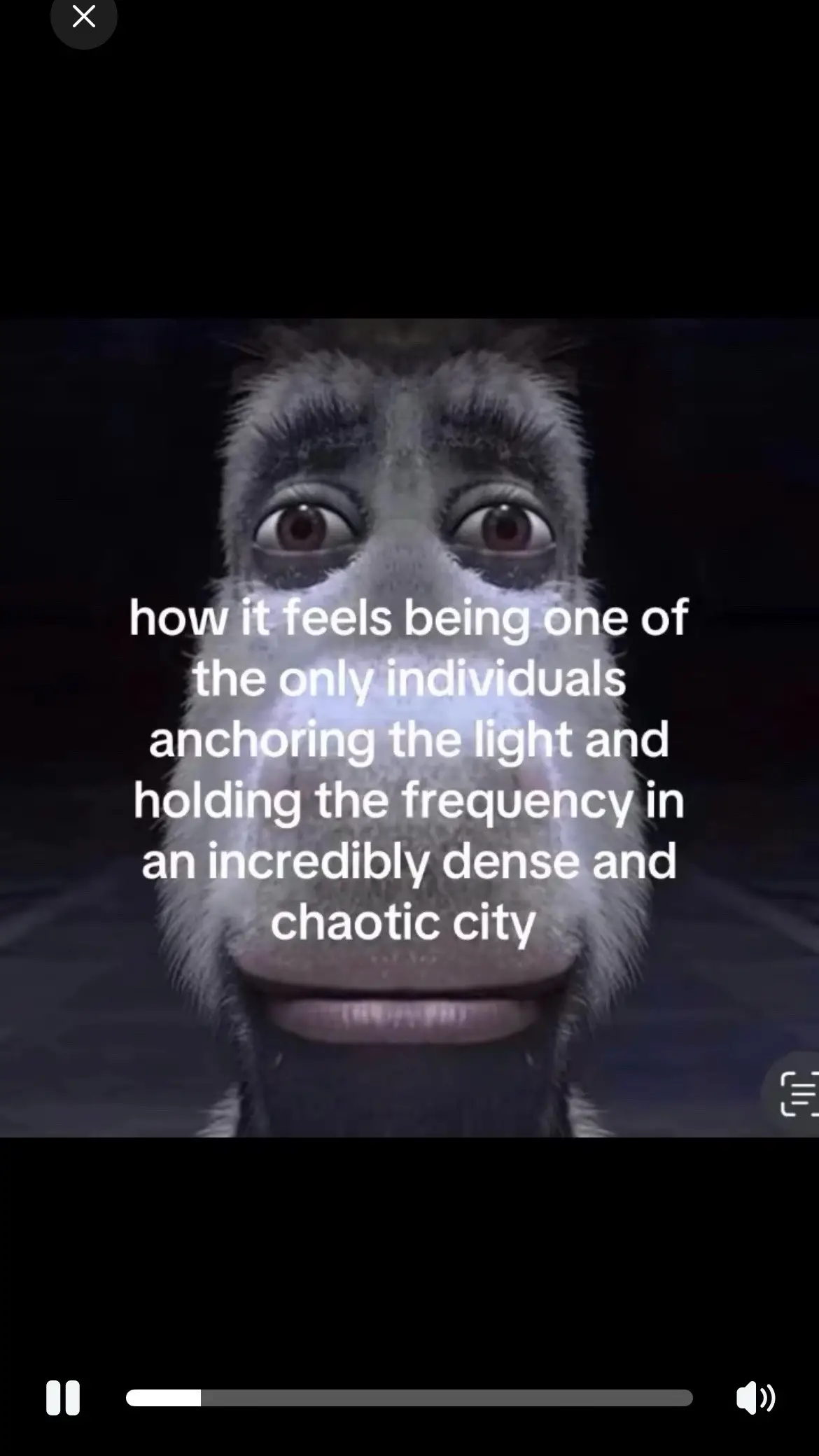 throughout heaven  and earth i alone and the honored one 🙏🙏