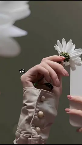 #CapCut  #الشعب_الصيني_ماله_حل😂😂  #متابعه_ولايك_واكسبلور_فضلا_ليس_امر 