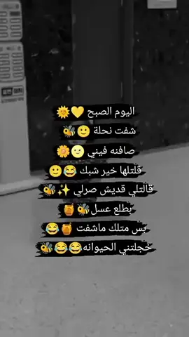 #تصميم_لولو_الحلبيهه١🌝🤍 #وهيكااا🙂🌸تابعووني🙂💔 #