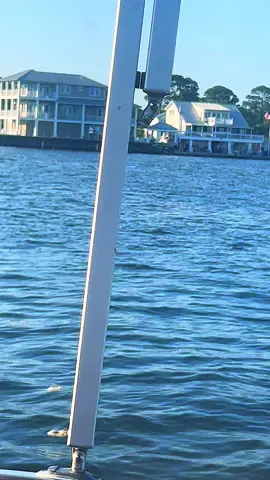 #viraltiktoksounds#viral#fyp