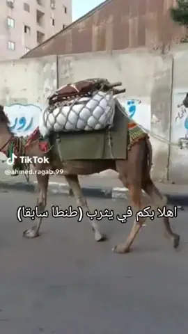 اعتقد اننا كمصريين من حقنا نعرف ايه اللى بيحصل فى طنطا #مولد السيد البدوى #طنطا