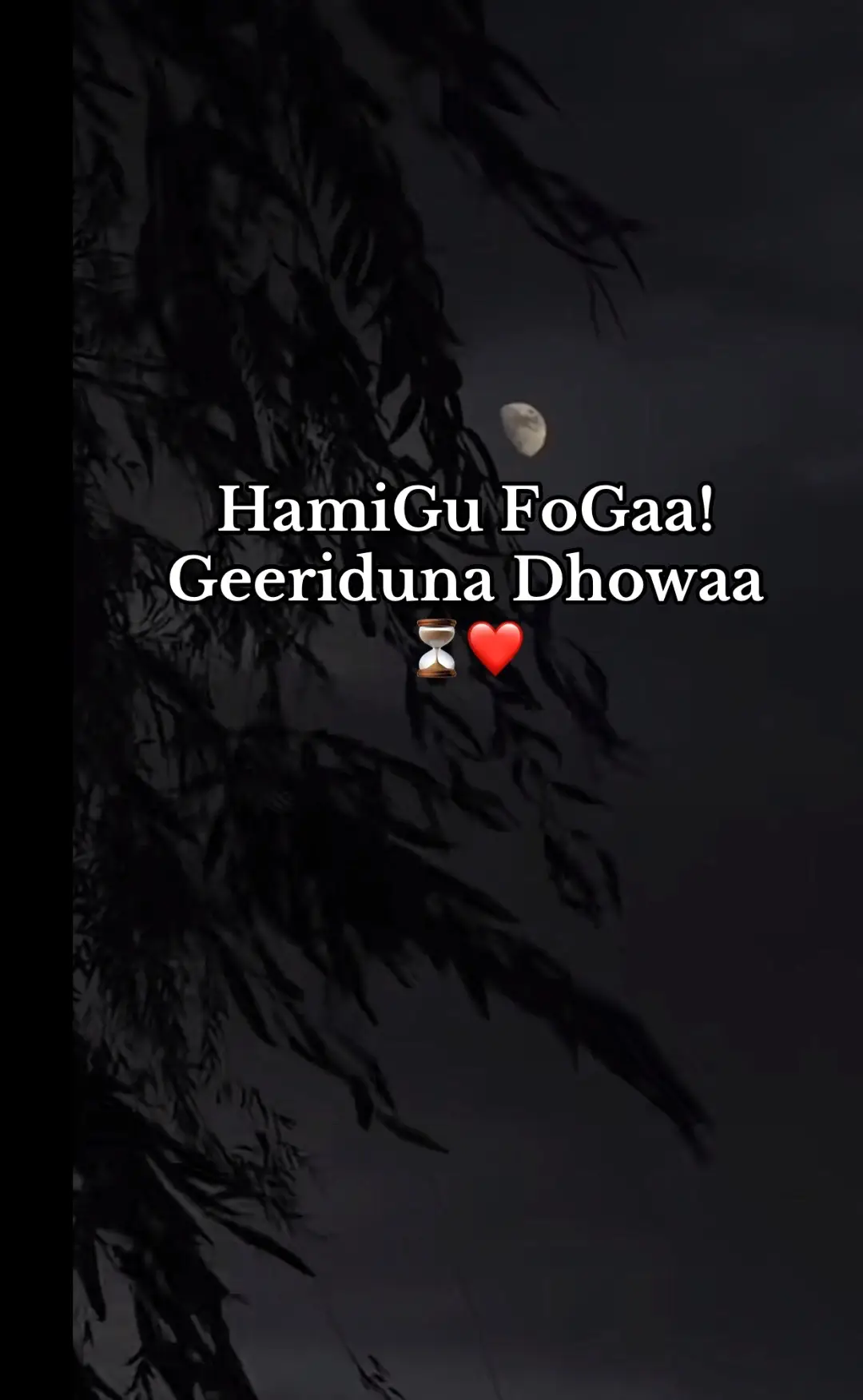 Aduun iyo Xaalkiiz⏳