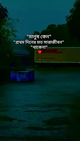 শুকতারা#ফরইউতে_দেখতে_চাই @❤️‍🩹⃝✿࿐ধ্রুবতারা❤️‍🩹⃝✿࿐ @rashedforhan3 