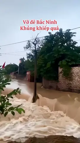 Năm nay đã hết bão chưa mọi người. Thiệt hại lớn quá (1)