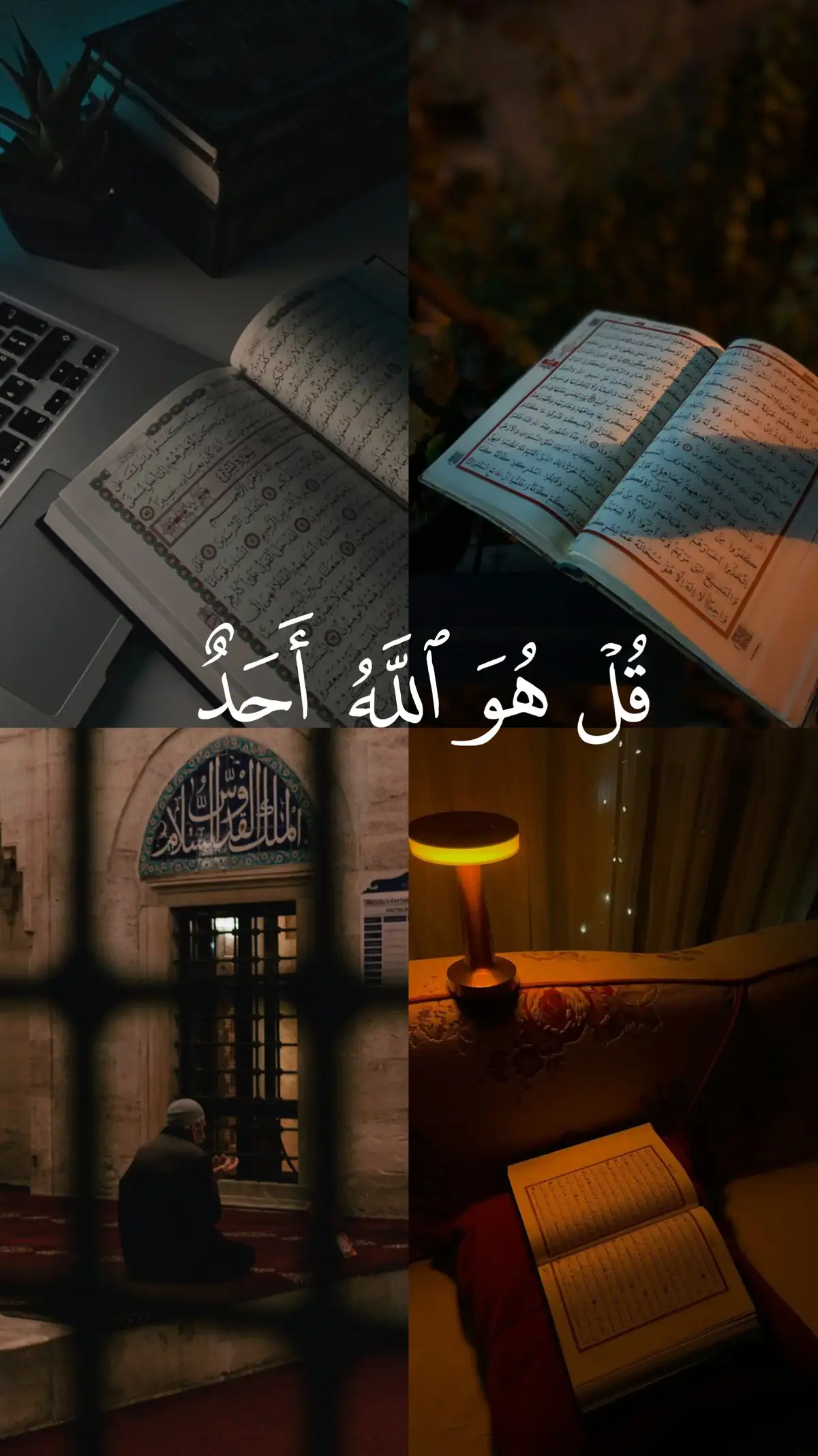 سورة الإخلاص سورة الفلق سورة  الناس ايه الكرسي #سورة_الإخلاص #بلال_دربالي #قرآن #quran #quran_alkarim 