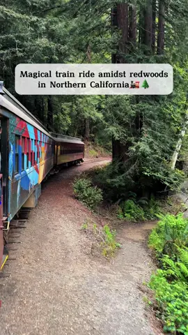 A secret bar hidden in a redwood forest, only reachable by a dreamy train ride through the trees… feels like stepping into a real-life fairytale🌲🧚‍♀️ 📍Skunk Train, 100 W Laurel St, Fort Bragg, CA 🎟️Ticket: •Standard Seats: $49.95 •VIP: $89.95 (Includes advanced boarding, priority concessions, lunch at The Glen, and a commemorative gift) •Dogs: $10.95 •One-Way Tickets: $49.95 (One-way to Glen Blair Junction with a hike out) Save and share!!  This scenic train ride is a must-do experience in California. The 7-mile round trip takes you to a hidden gem called Glen Blair Bar, where you can enjoy live music on weekends, sip drinks, play games, and relax by the fire pit amidst the towering redwoods. Weekend evening trains are 21+, but during the day, it's family and kid friendly. If you visit during the day, you can also hike the nearby trails through the redwoods. The bar is very lively on weekends and the first train starts at 6:30 pm and the last train leaves at 10.30pm.  They also have Pumpkin trains for fall and Christmas train for the Holiday season!! 🎃🎄🚂 Magical train ride in California, hidden bar in the forest in Northern California, bar in the woods in CA, Northern California adventures, must do activity in California  #SkunkTrain#Redwoods#HiddenGem#californiaadventure#fortbragg@skunktrain  