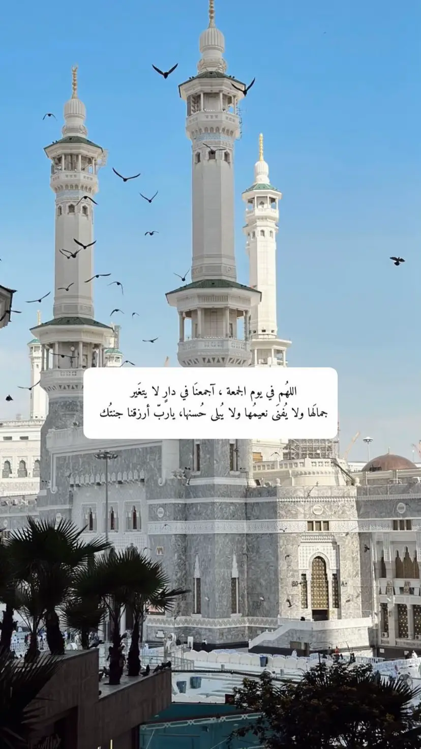 #لاإله_إلا_الله_محمد_رسول_الله #لاإله_لاانت_سبحانك_اني_كنت_من_الظالمين #سبحان_الله_وبحمده_سبحان_الله_العظيم #سبحان_الله_وبحمده_سبحان_الله_العظيم #اللهم_صلي_على_نبينا_محمد #يوم_الجمعة_اللهم_صل_على_نبينا_محمد 