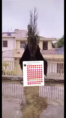 Replying to @ali.zaman8640 