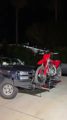 The lion doesn’t concern himself with seeing